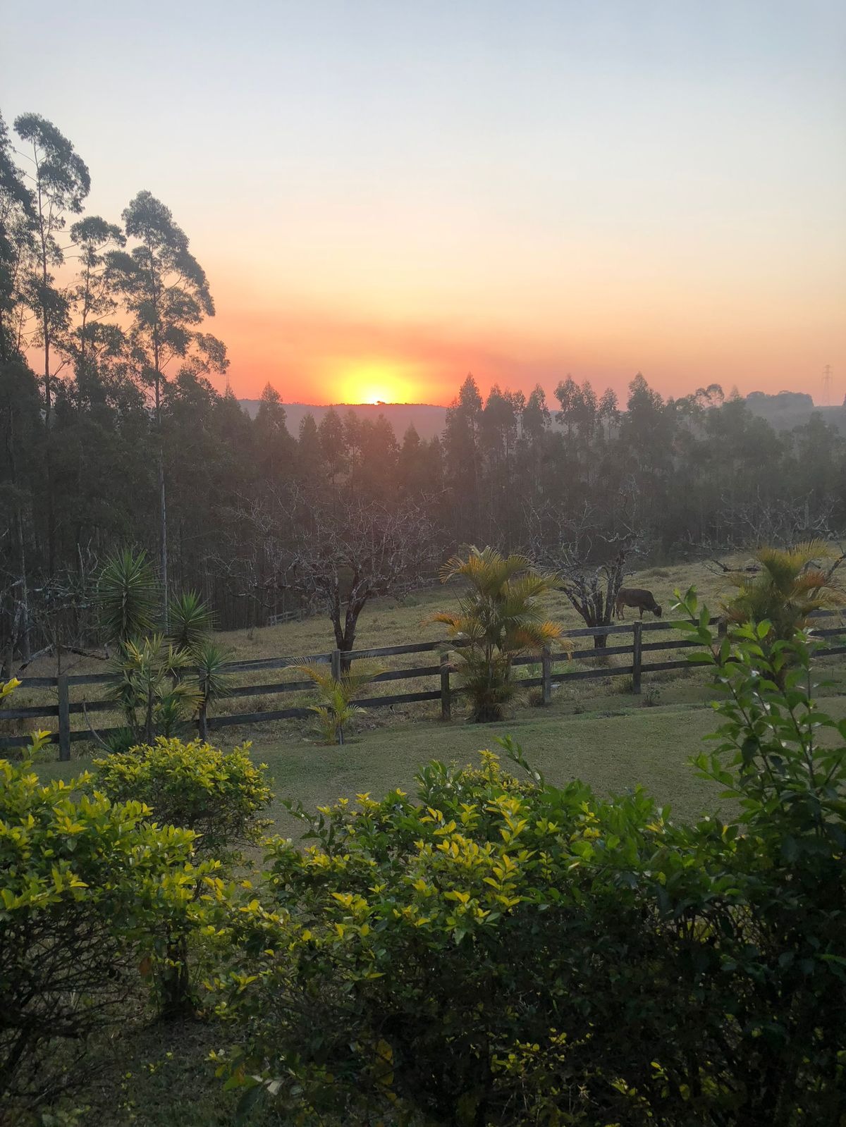 Fazenda, 17 hectares - Foto 33