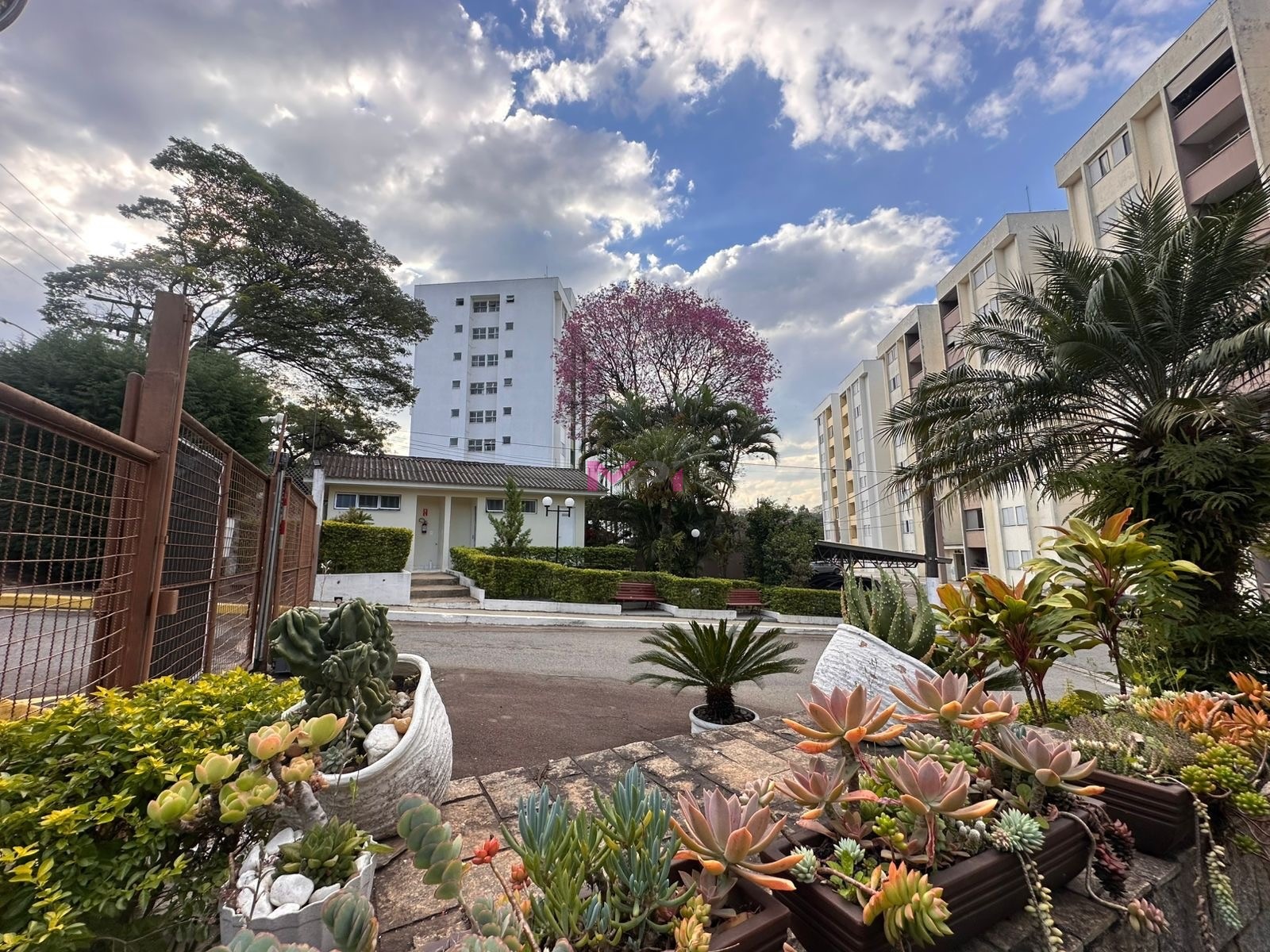 Apartamento, 2 quartos, 57 m² - Foto 50