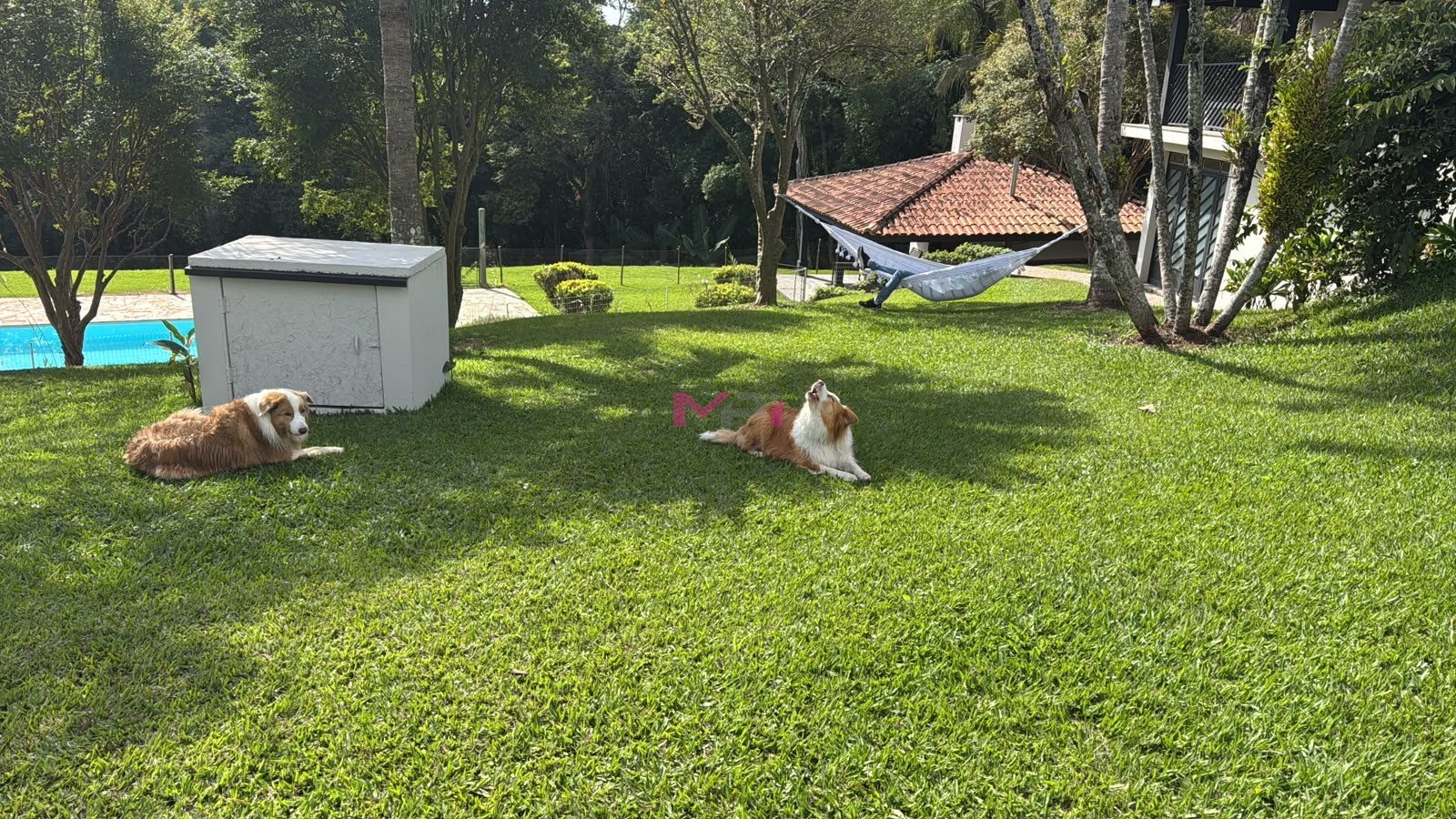 Foto 12