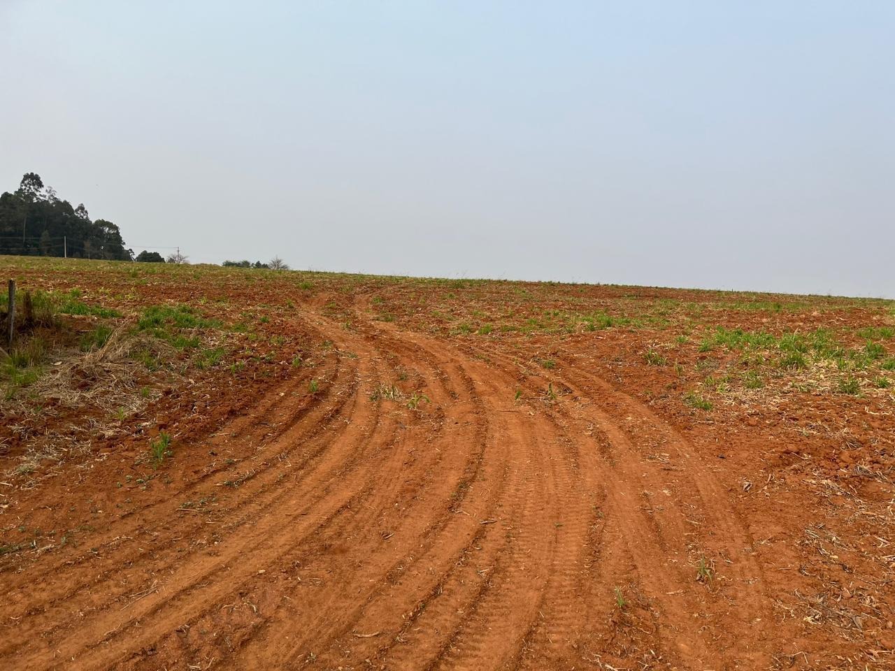 Sítio, 22 hectares - Foto 18