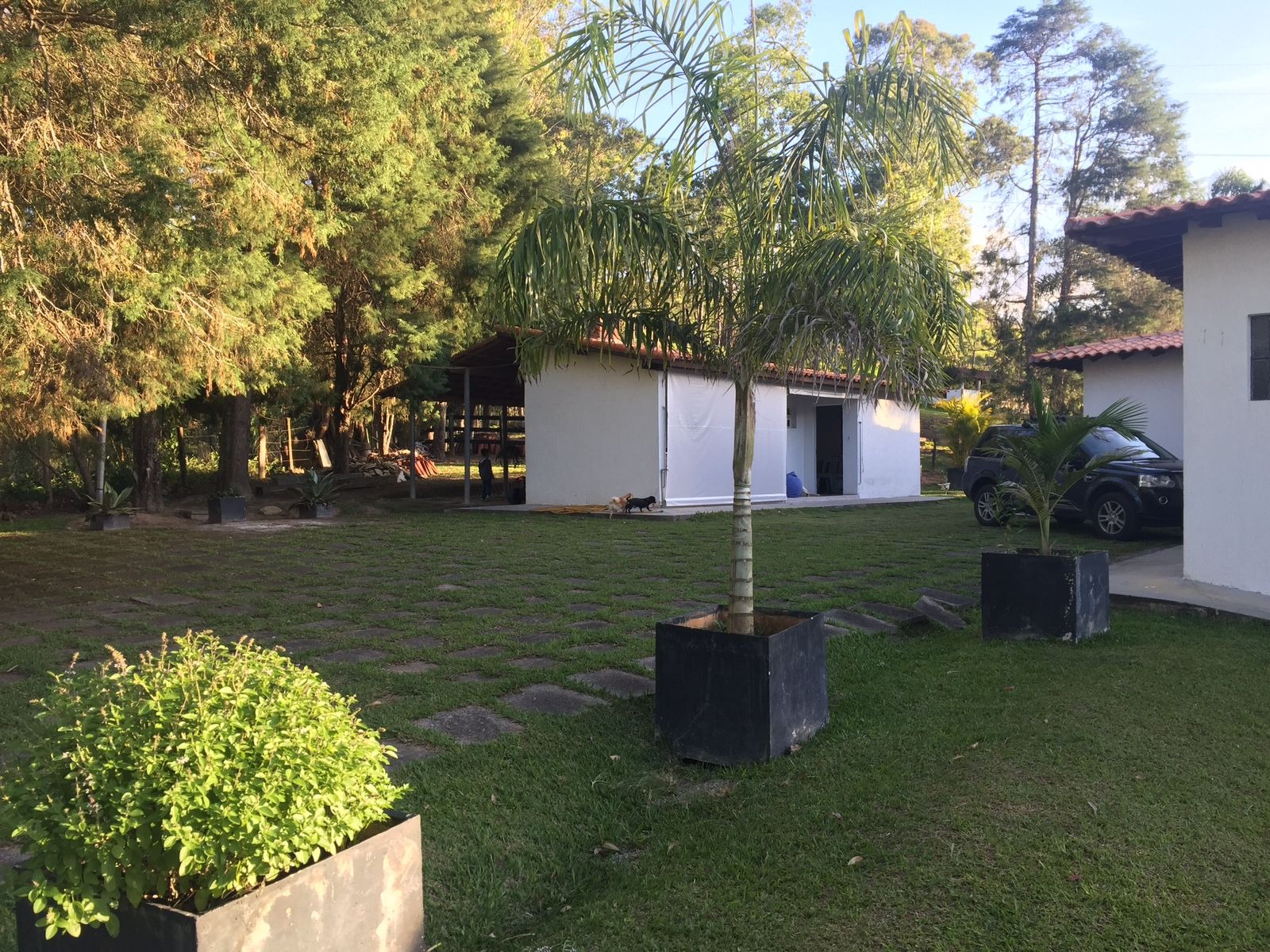 Fazenda, 17 hectares - Foto 32