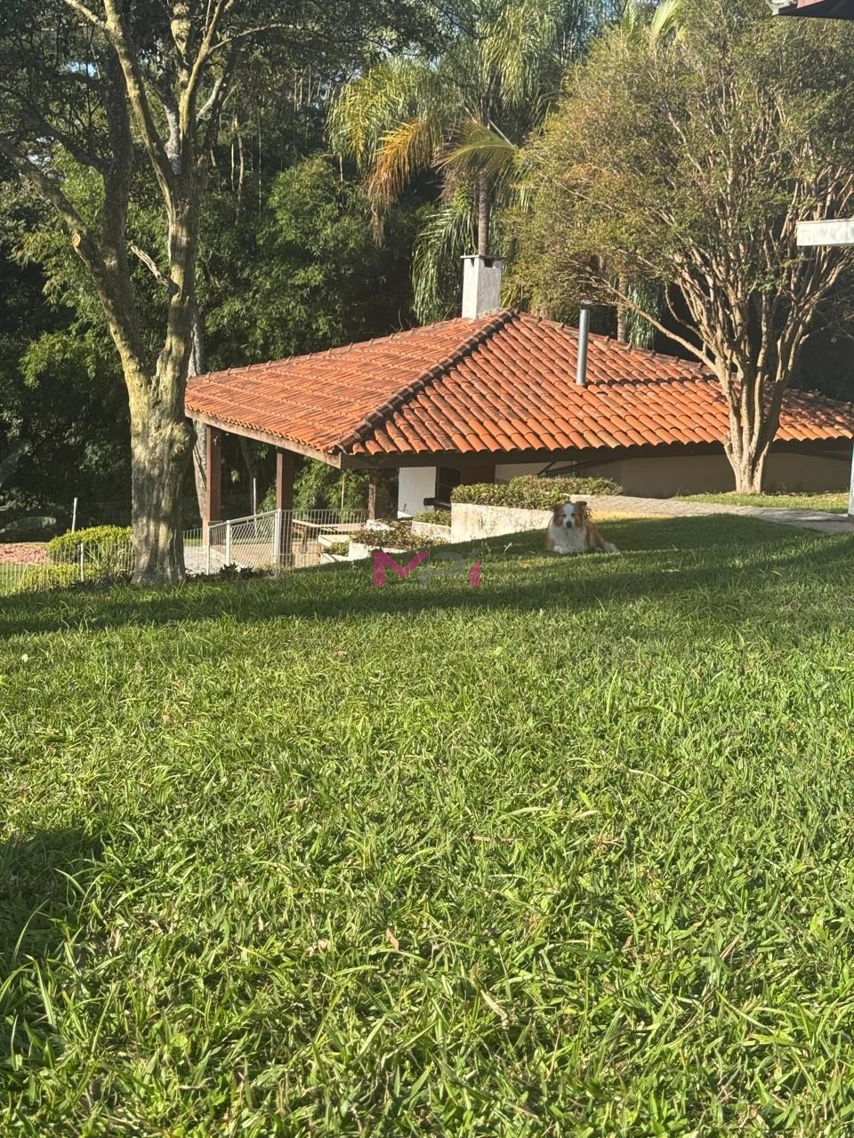 Chácara, 6 quartos, 5000 m² - Foto 17