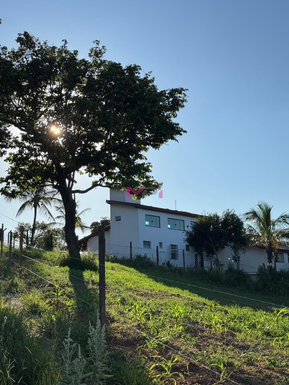 Chácara, 6 quartos, 5000 m² - Foto 18