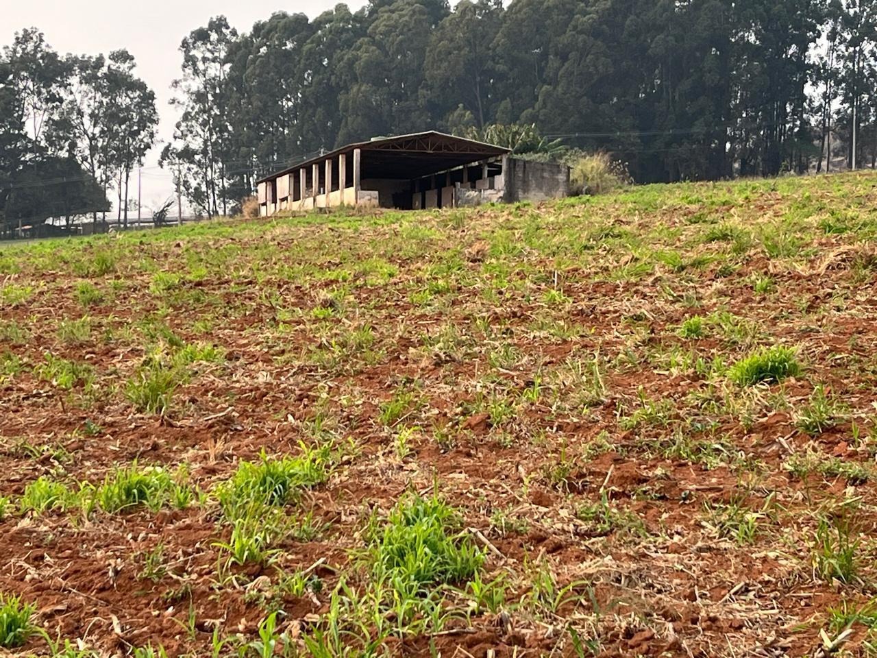 Sítio, 22 hectares - Foto 19