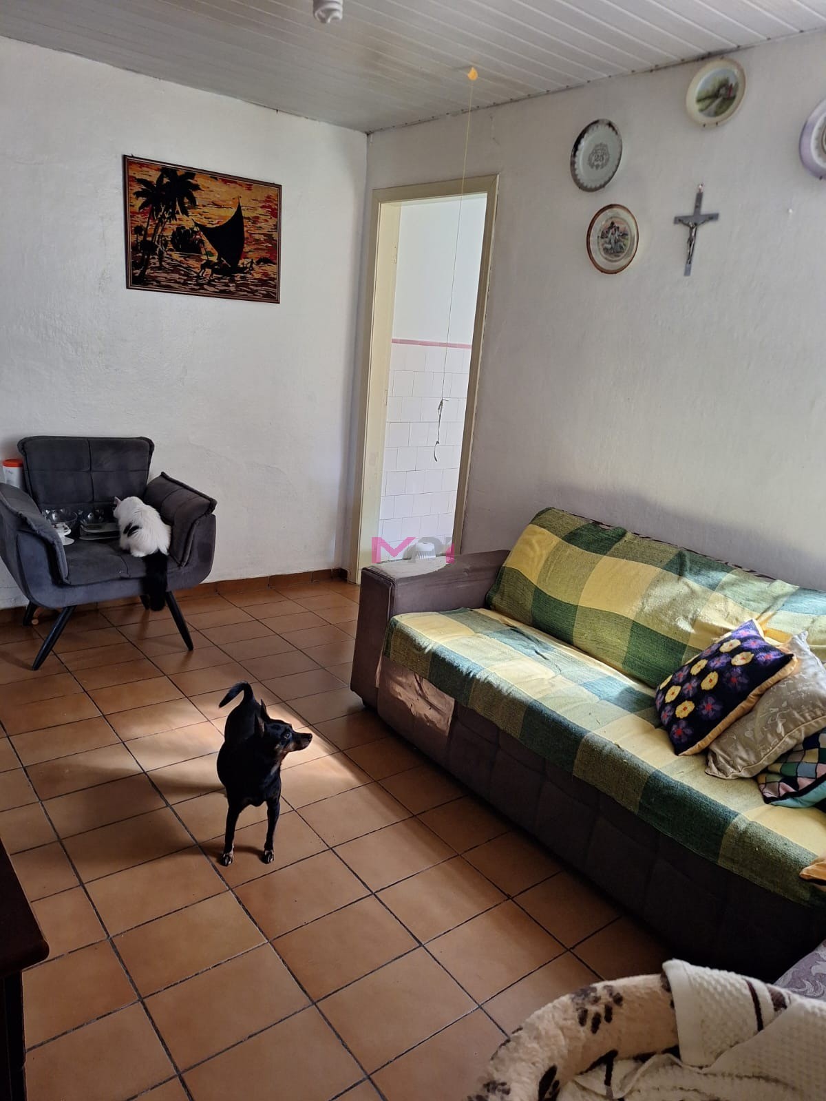 Foto 7