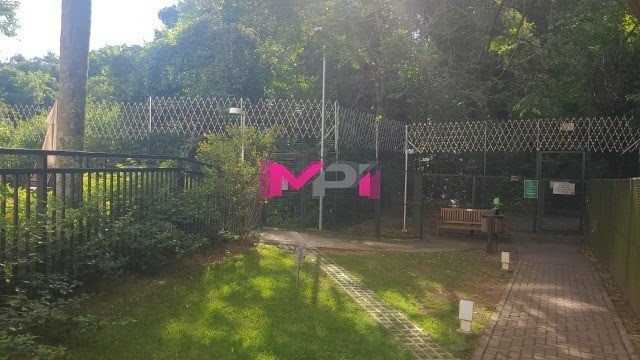 Apartamento, 3 quartos, 83 m² - Foto 19
