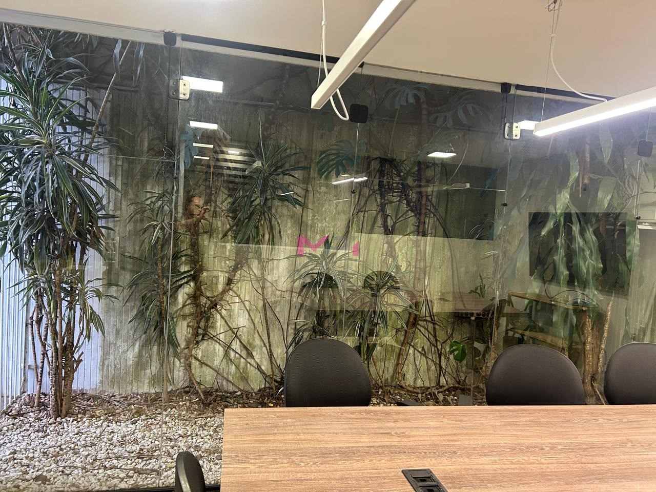 Foto 11