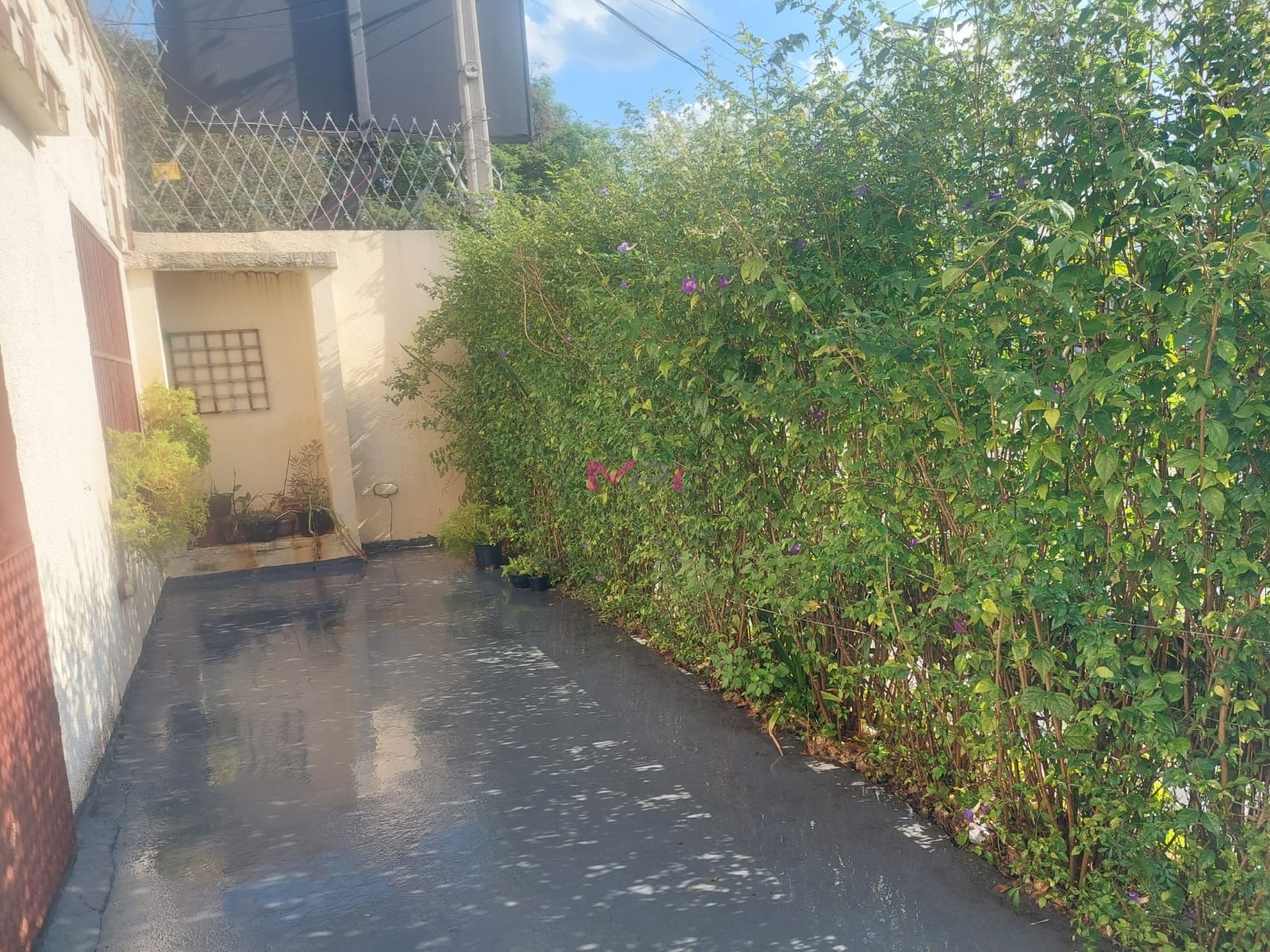 Loja-Salão, 188 m² - Foto 19