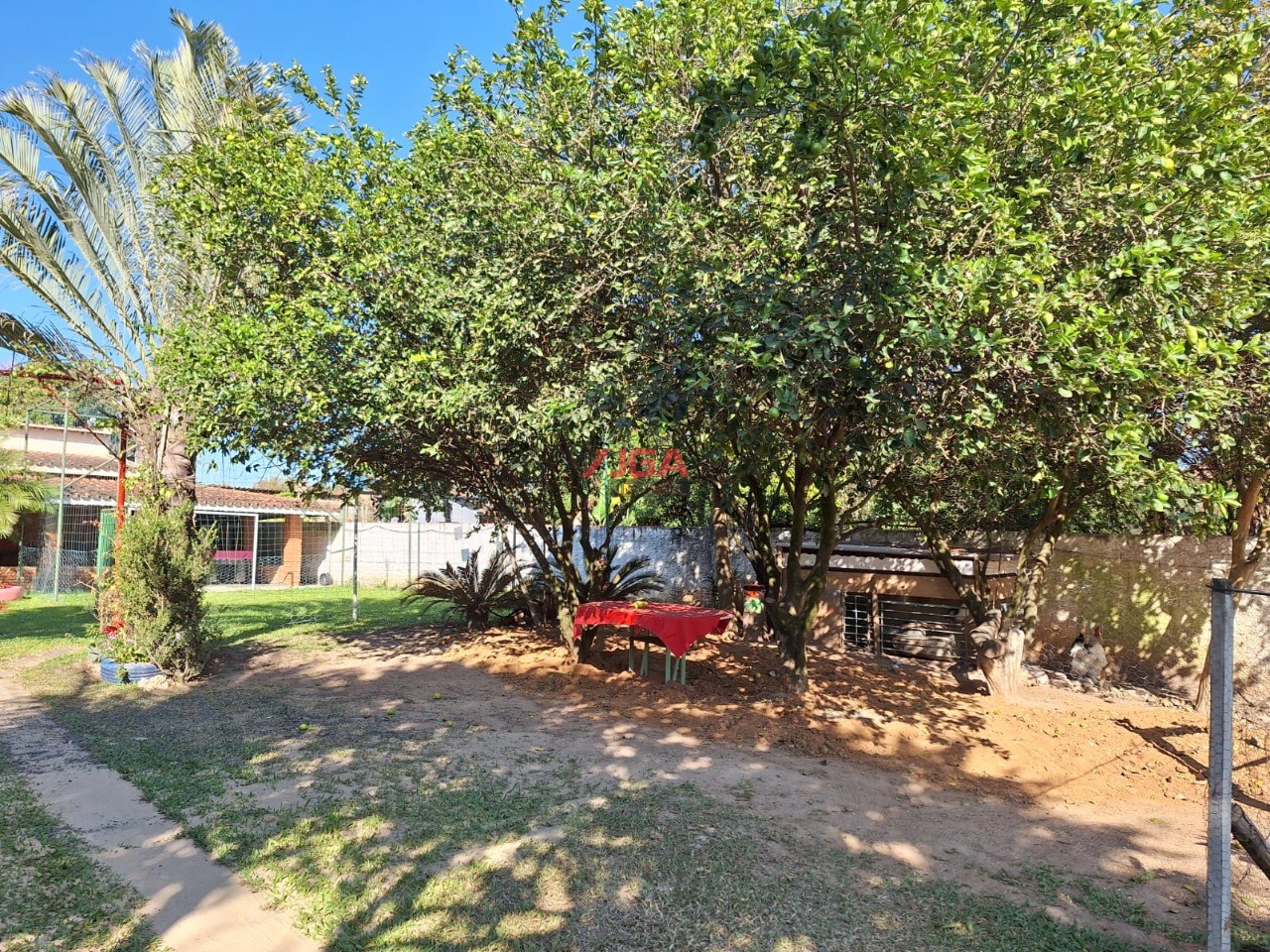 Sítio, 3 quartos, 1500 m² - Foto 6