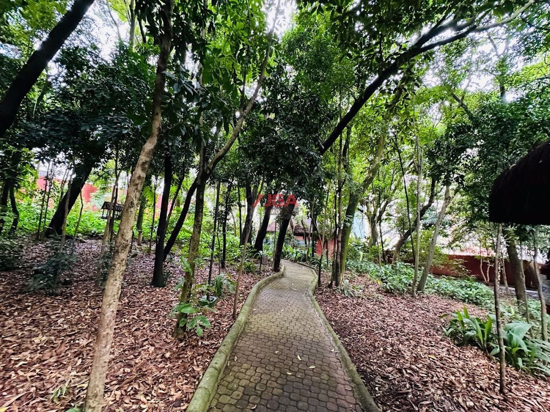 Apartamento, 4 quartos - Foto 13