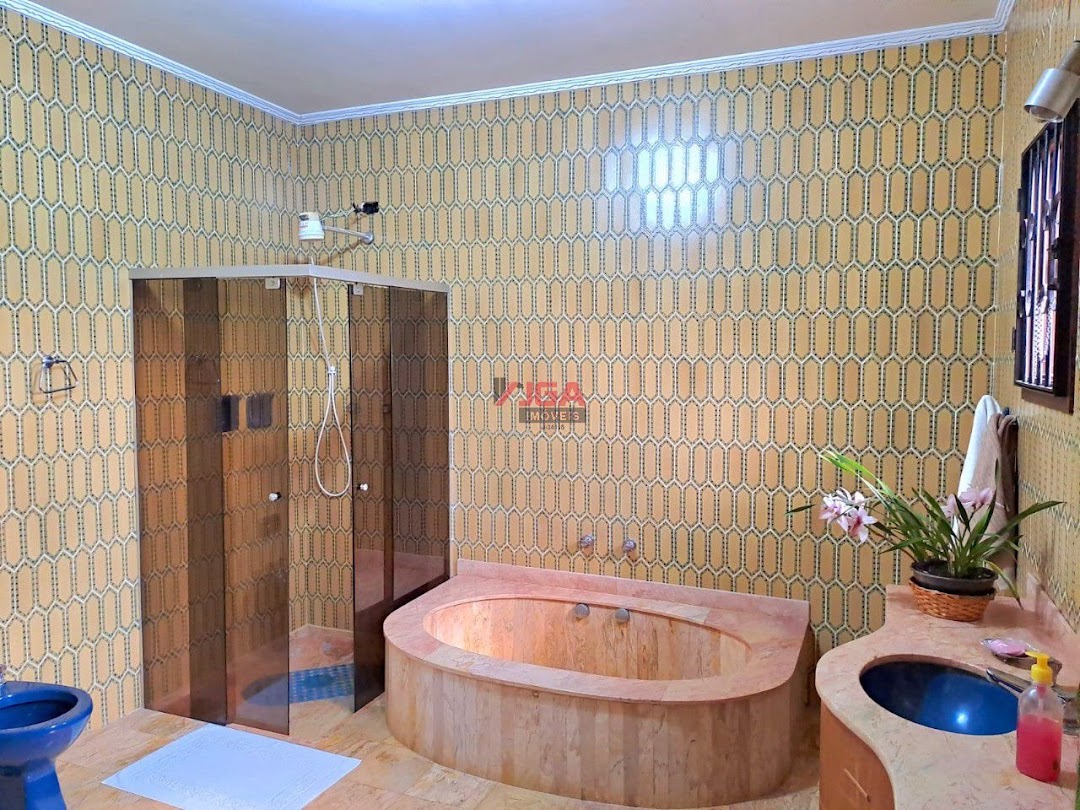 Chácara, 4 quartos, 6500 m² - Foto 51