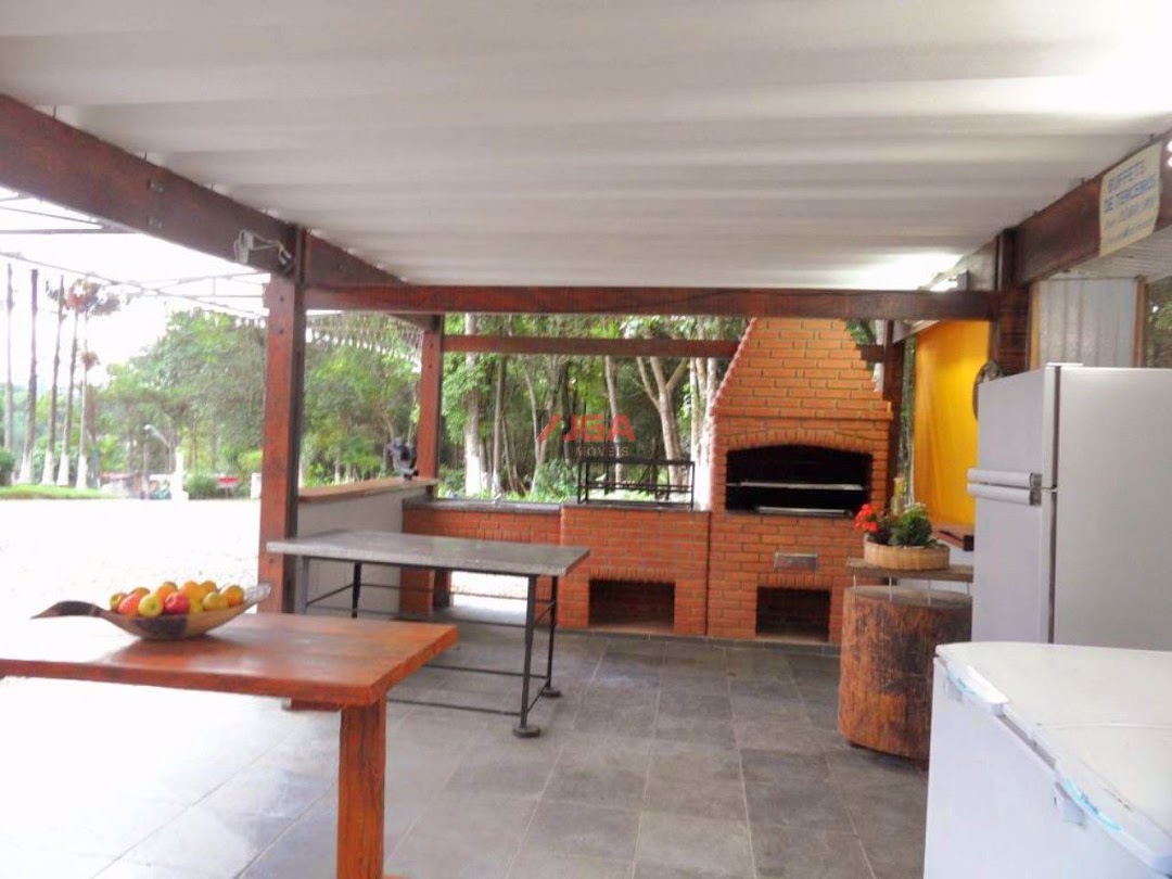 Chácara, 4 quartos, 6500 m² - Foto 43