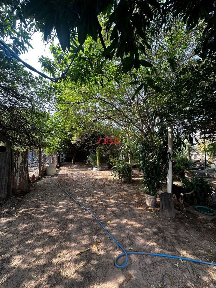 Chácara, 3 quartos, 1000 m² - Foto 13