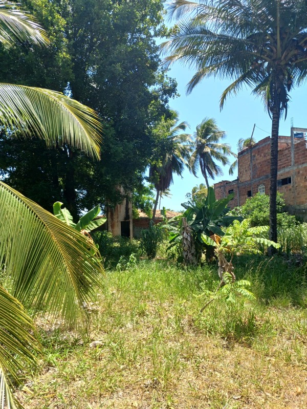 Terreno, 3819 m² - Foto 11