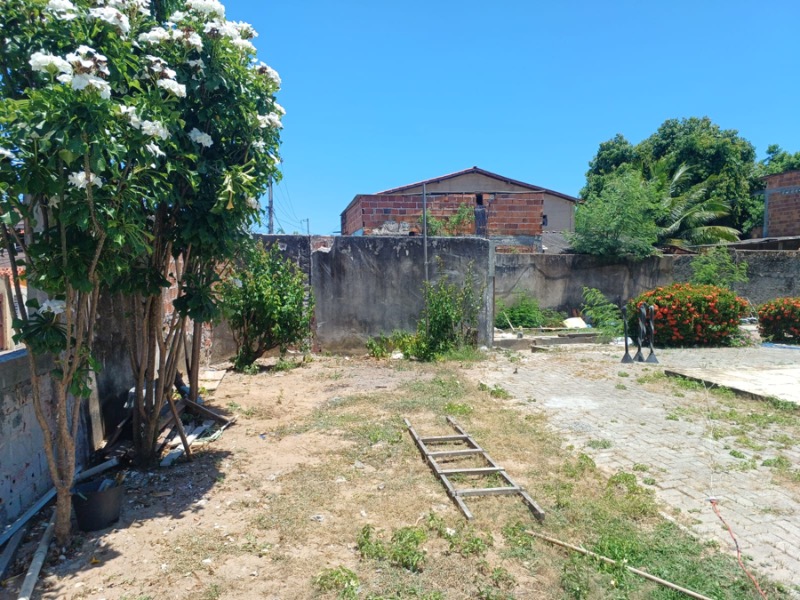Terreno, 3819 m² - Foto 15
