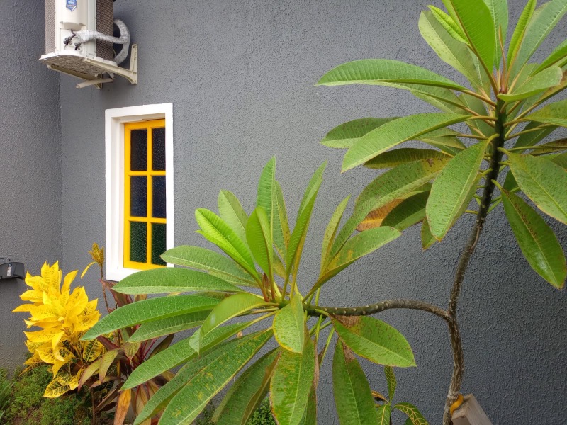 Casa de Condomínio, 2 quartos - Foto 45