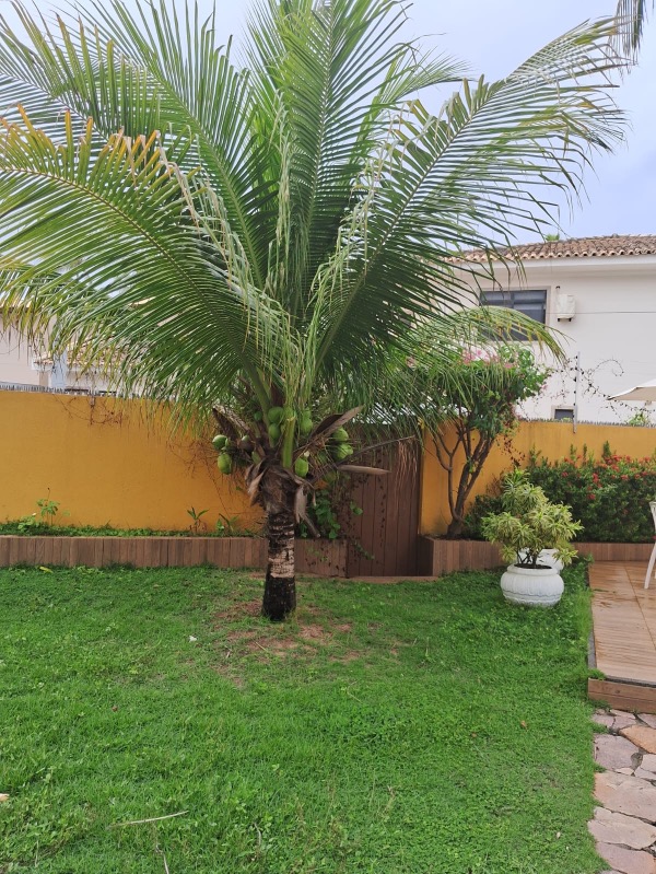 Casa, 5 quartos - Foto 14