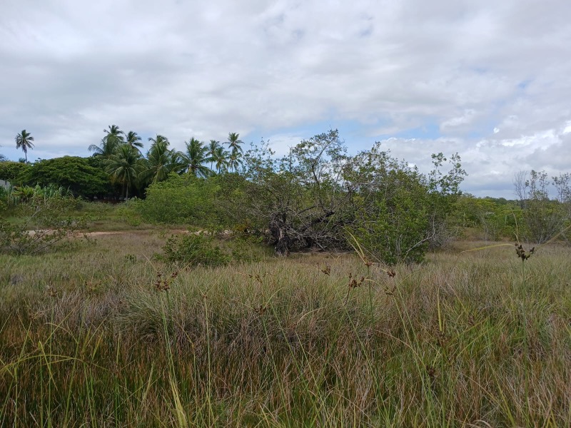 Terreno, 4 hectares - Foto 15