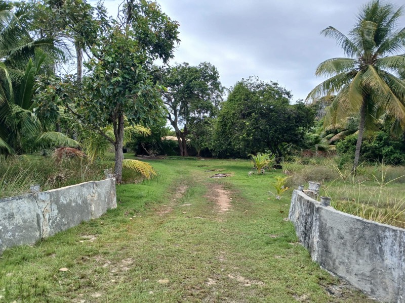 Terreno, 4 hectares - Foto 16