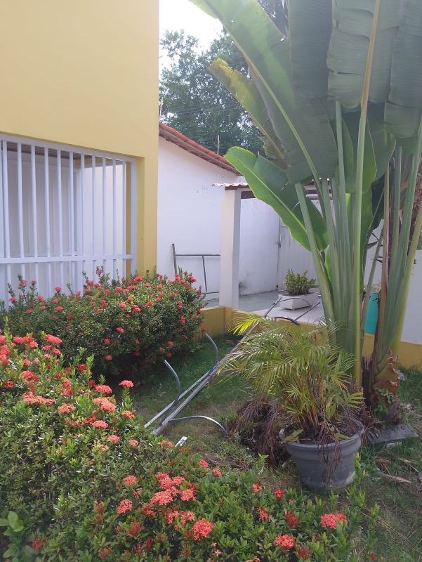 Sala-Conjunto - Foto 7