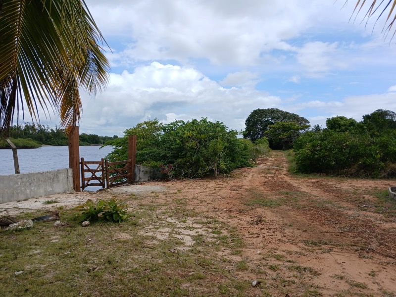 Terreno, 4 hectares - Foto 3