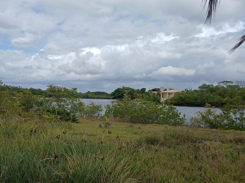 Terreno, 4 hectares - Foto 4