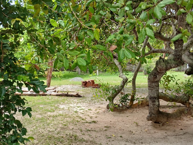 Terreno, 4 hectares - Foto 6