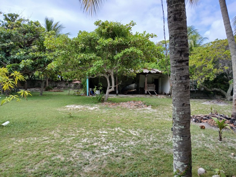 Terreno, 4 hectares - Foto 12