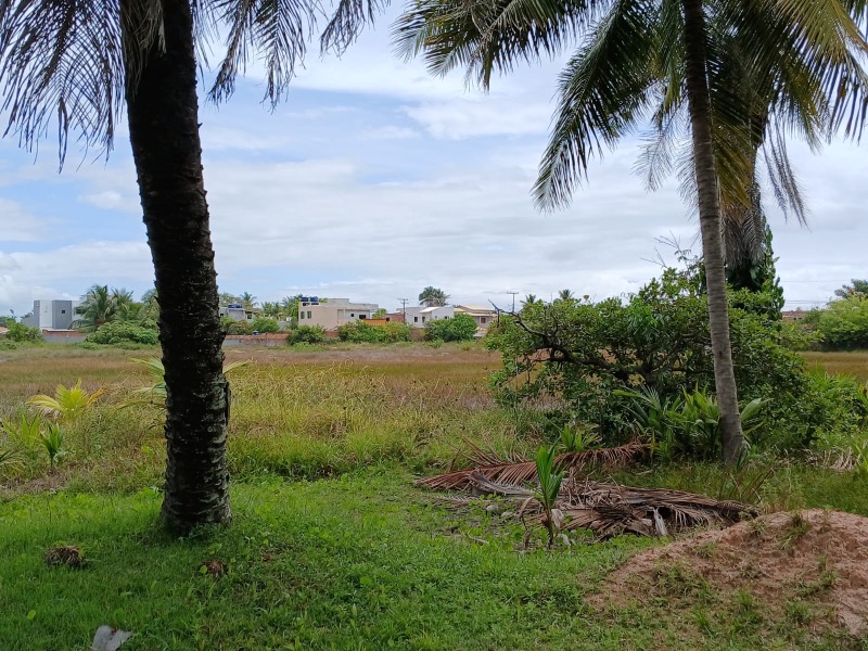 Terreno, 4 hectares - Foto 13