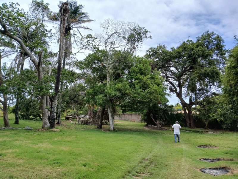 Terreno, 4 hectares - Foto 11