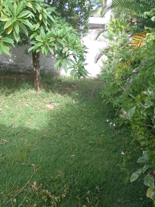 Sala-Conjunto - Foto 11