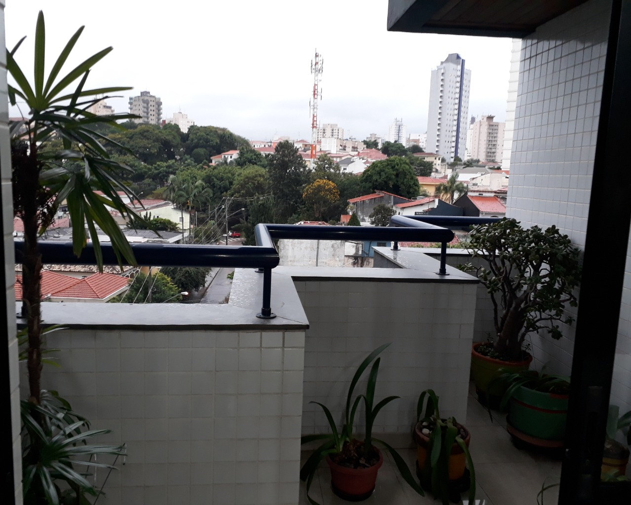 Apartamento, 3 quartos, 220 m² - Foto 6