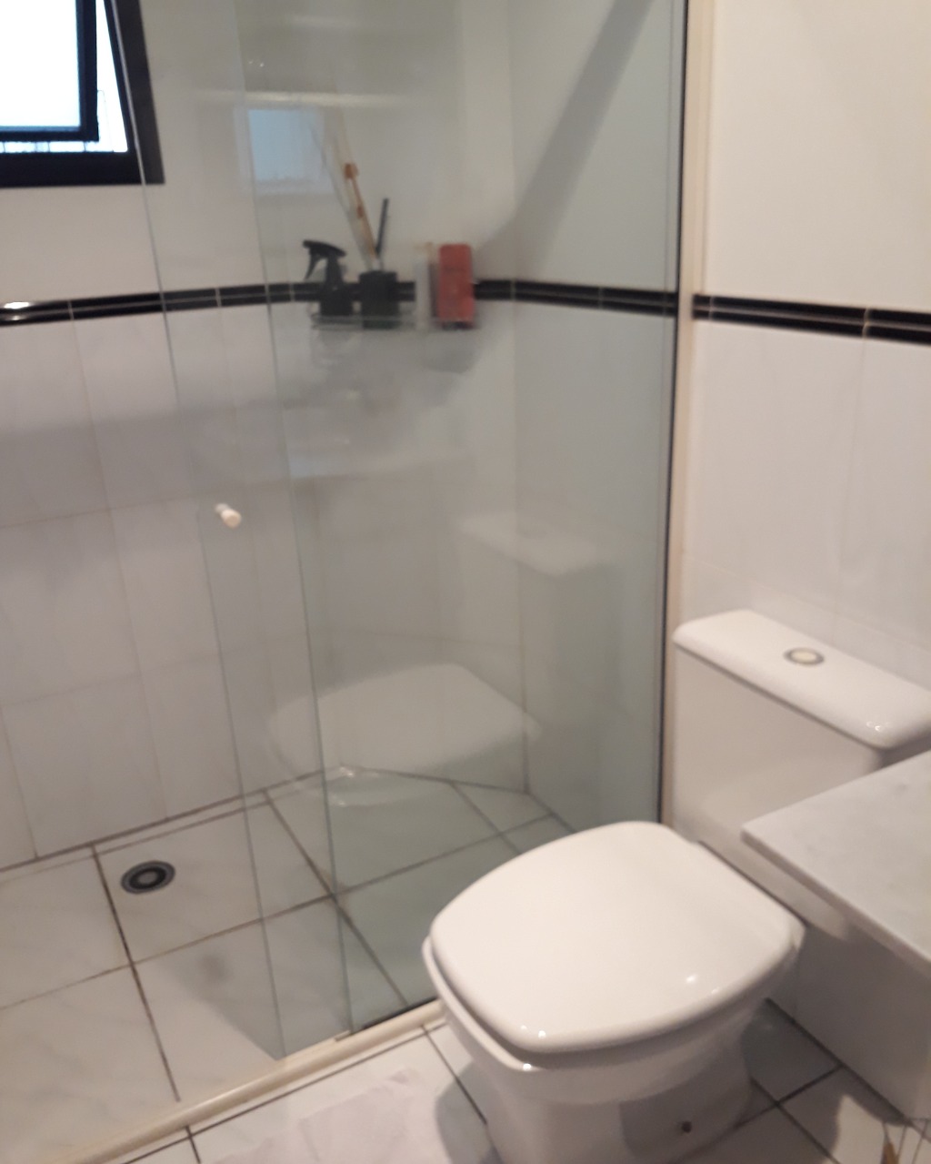 Apartamento, 3 quartos, 220 m² - Foto 39