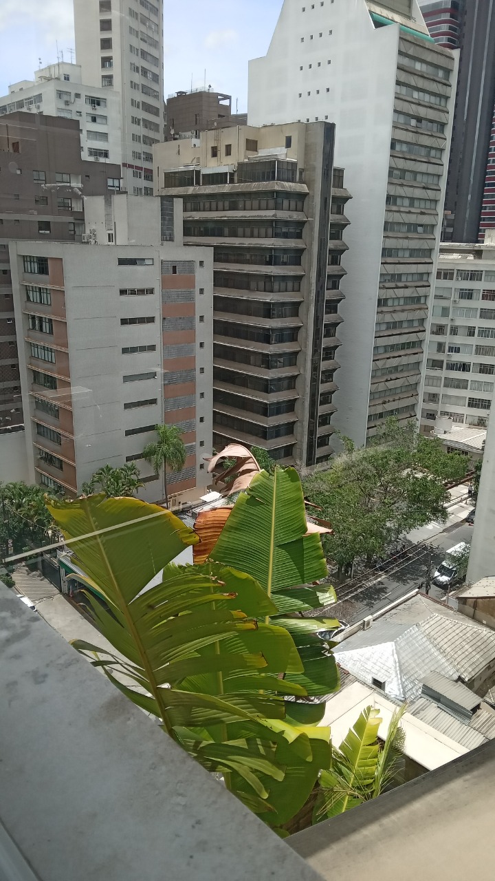 Cobertura, 3 quartos, 260 m² - Foto 45
