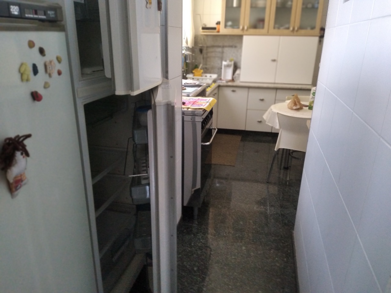 Apartamento, 3 quartos, 220 m² - Foto 51