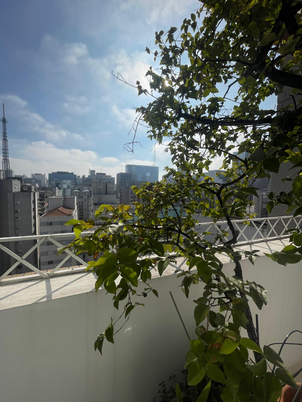 Cobertura, 1 quarto, 105 m² - Foto 17