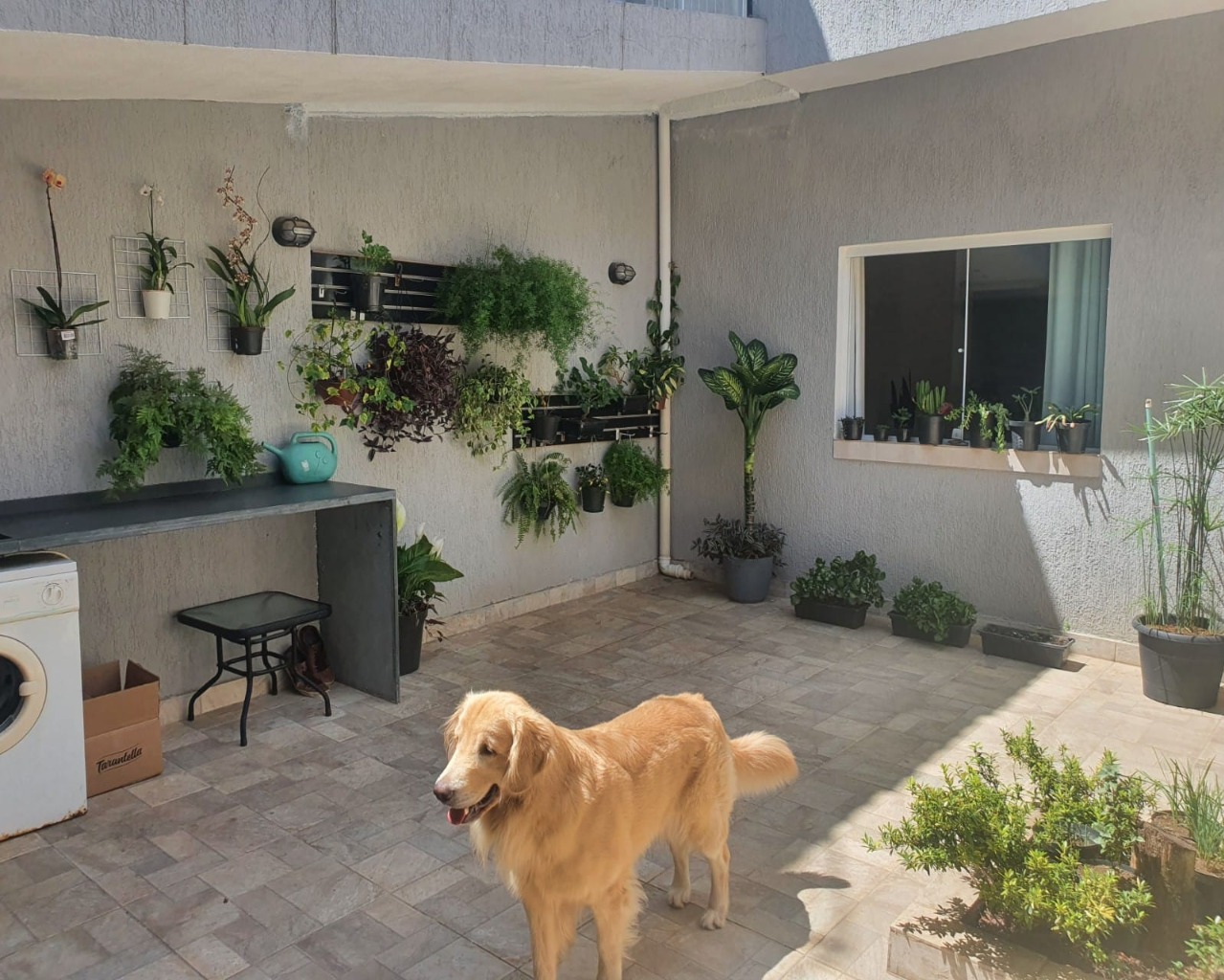 Casa, 3 quartos, 190 m² - Foto 24