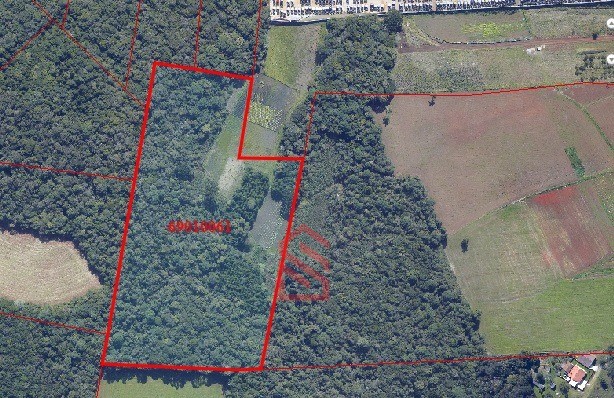 Loteamento e Condomínio, 10 hectares - Foto 4