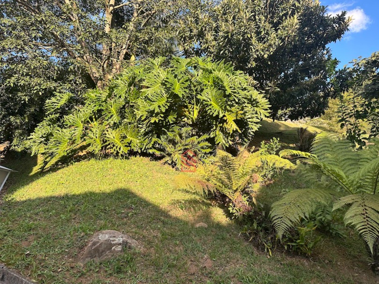 Casa à venda com 3 quartos, 160m² - Foto 73
