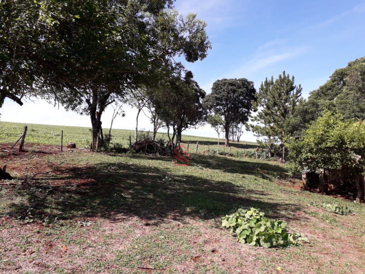 Sítio, 7 hectares - Foto 6