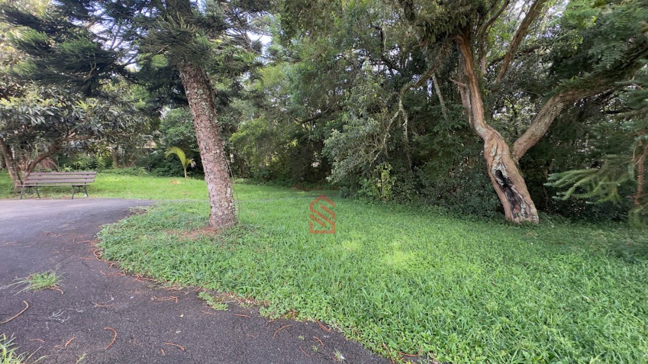 Apartamento, 2 quartos, 45 m² - Foto 29