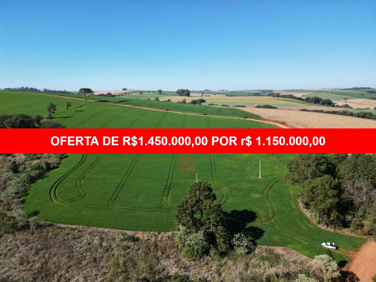 Sítio, 7 hectares - Foto 1