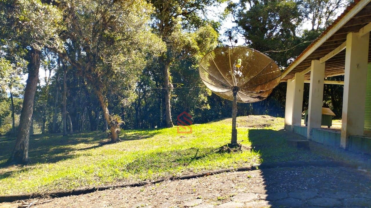 Sítio, 3 quartos, 2990 m² - Foto 7