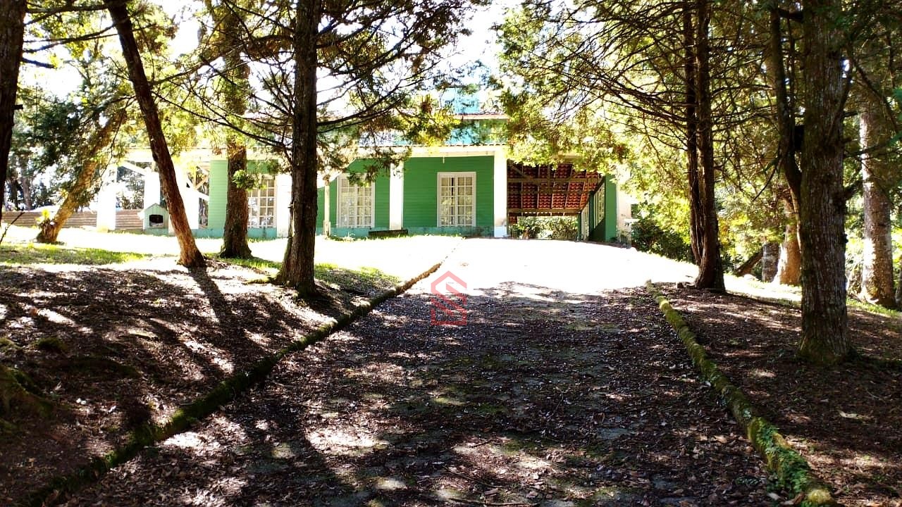 Sítio, 3 quartos, 2990 m² - Foto 6