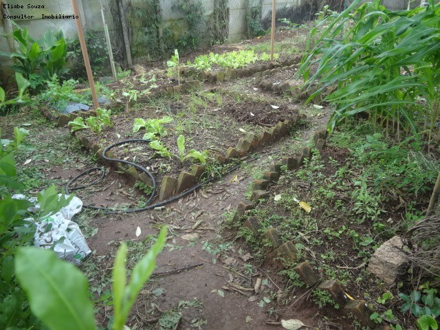 CHÁCARA em RECANTO DOS PÁSSAROS, INDAIATUBA - Chácara em Itaici de 5000 m² - Foto 16