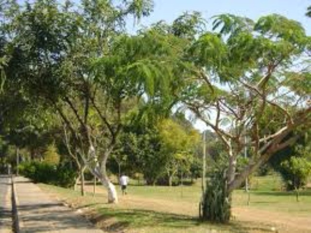 APARTAMENTO em PARQUE SAO LOURENCO, INDAIATUBA - Apartamento novo em um dos melhores bairros de Indaiatuba - Foto 7