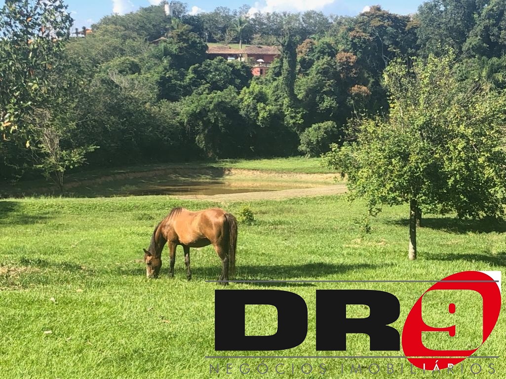 Sítio, 4 quartos, 1000 m² - Foto 74