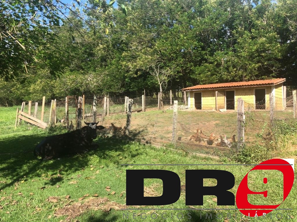 Sítio, 4 quartos, 1000 m² - Foto 76