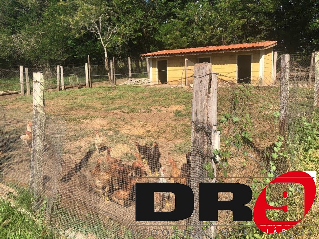 Sítio, 4 quartos, 1000 m² - Foto 77