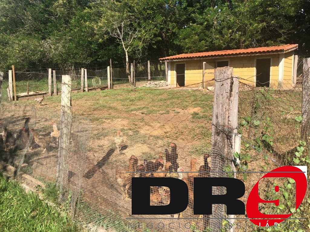 Sítio, 4 quartos, 1000 m² - Foto 78